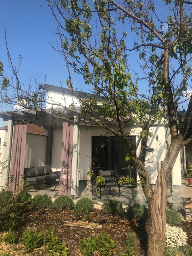 Angelit Studio Apartman Zalakaros Εξωτερικό φωτογραφία